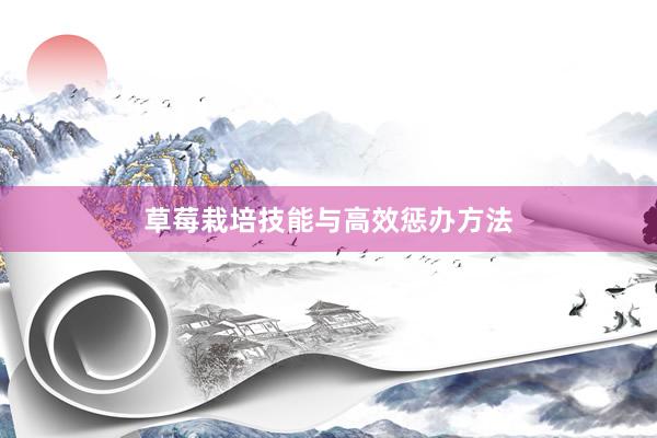 草莓栽培技能与高效惩办方法