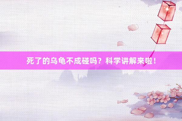 死了的乌龟不成碰吗？科学讲解来啦！