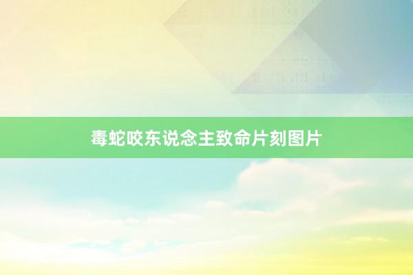 毒蛇咬东说念主致命片刻图片