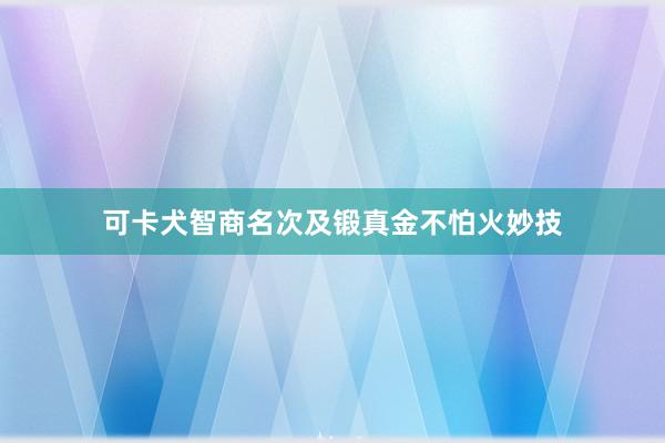 可卡犬智商名次及锻真金不怕火妙技